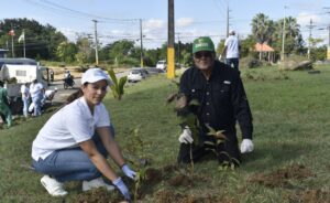 Digecac y Cemadoja reforestan tramo de la carretera Mella