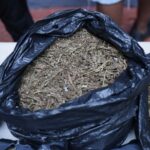 Policía Nacional ocupa cocaína, crack, marihuana y balanzas en intervención policial en Capotillo, DN