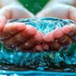 Día Mundial del Agua: 7 hábitos domésticos que la contaminan y cómo evitarlos