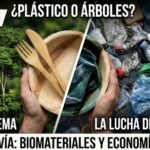 ¿Plástico o Árboles? El Falso Dilema que Esconde una Realidad de Intereses