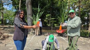 Digecac interviene el parque Domingo Liz de la avenida España