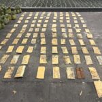 DNCD ocupa carga de piñas con 121 láminas de presunta cocaína en el AILA