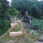 Militares del ERD ocupan 47,600 cigarrillos de contrabando en operativo realizado en Loma de Cabrera