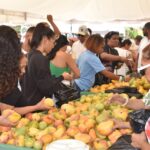 Expo Mango 2026 impulsa negocios y fortalece oportunidades comerciales para productores
