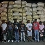 Ejército descubre a 10 haitianos indocumentados ocultos en una carga de arroz en camión interceptado en Montecristi