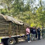 Soldados del Ejército incautan cargamento de madera sin documentación legal en Santiago