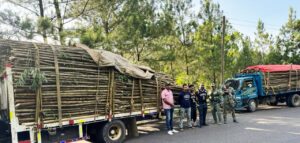 Soldados del Ejército incautan cargamento de madera sin documentación legal en Santiago