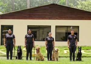 Unidades caninas de la Dirección de Drogas: olfato al servicio de la seguridad del país