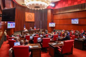 Senado aprueba en segunda discusión ley para la protección y adquisición Patrimonio Cultural del país