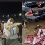 En animales y Carro, Ejército ocupa 28,800 cigarrillos y 456 botellas de ron en Dajabón y Elías Piña