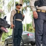 DNCD incauta más de 10 mil gramos de droga y arresta a 15 personas en el DN
