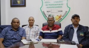 ANPA celebrará elecciones nacionales el 9 de septiembre para escoger autoridades 2026-2029
