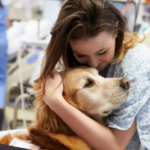 La compañía de un animal ayuda a pacientes con ACV a moverse más y participar en su rehabilitación