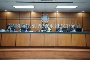 Tribunal Superior Electoral se reserva fallo sobre demanda contra 33 partidos políticos minoritarios