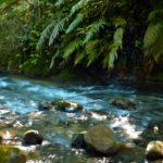 Ministerio de Medio Ambiente y PNUD abren convocatoria para financiar proyectos comunitarios de desarrollo sostenible de hasta US$50,000 