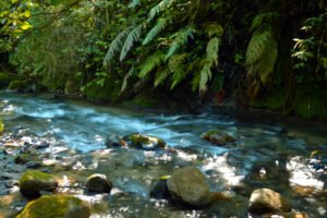 Ministerio de Medio Ambiente y PNUD abren convocatoria para financiar proyectos comunitarios de desarrollo sostenible de hasta US$50,000 